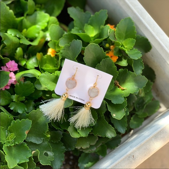 Stone Tassel Earrings - Picture 1 of 7